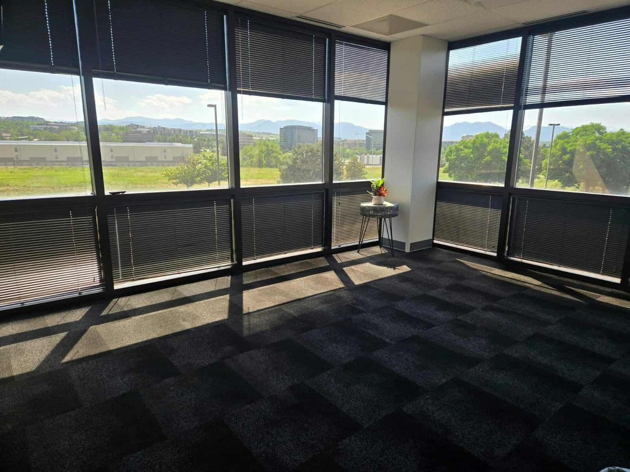 Professional cleaning service